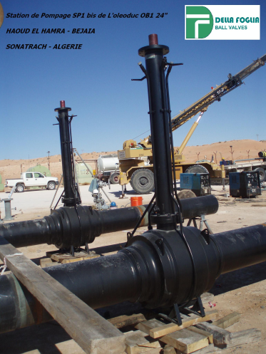 ̼�����Ŀ����24��ȫ�����y�T